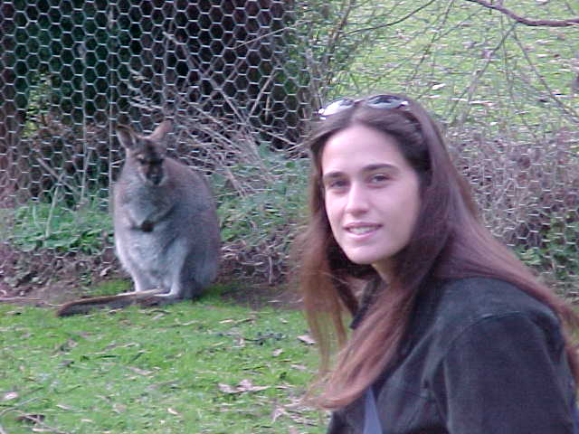 Wannabe wallaby